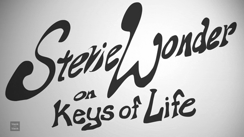 Stevie Happy On Keys Birthday Of Life Wonder GIF