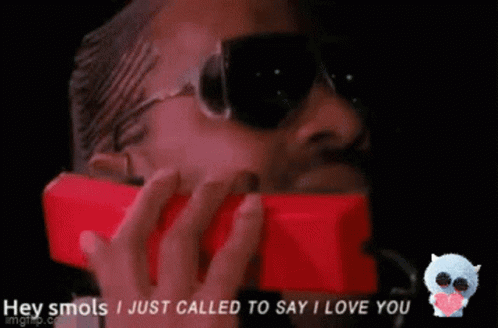 Stevie Wonder Hey Smols I Just Called GIF