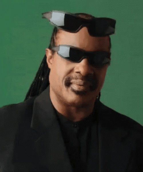 Stevie Wonder Deal With It Braile GIF