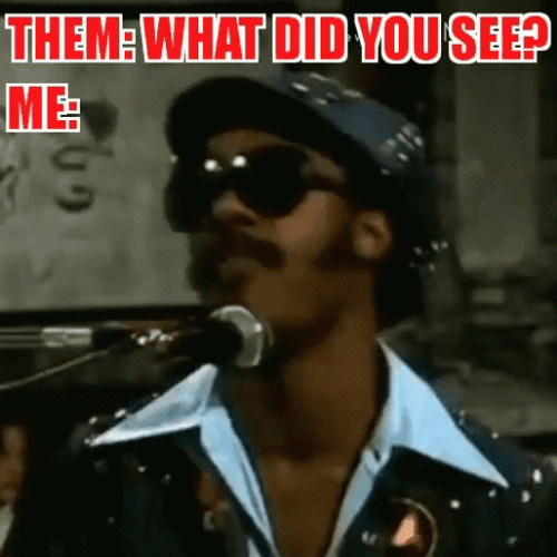 Stevie Wonder What Did You See GIF