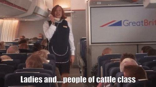 Stewardess Talking Ladies And People Of Cattle Class GIF