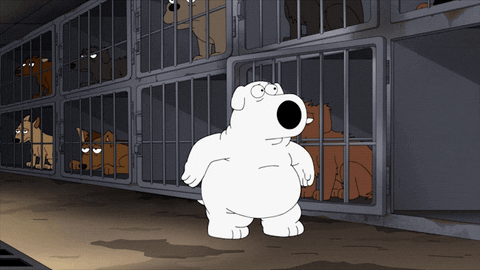 Stewie Best Friend Brian Griffin Top Dancing GIF