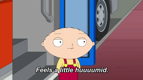 Stewie Griffin Feels A Little Humidity GIF