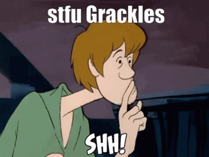 Stfu Grackles Shh Shaggy Scooby Doo Fictional Character GIF