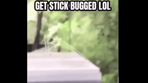 Stick Bug And Cartoon Anime Scene GIF