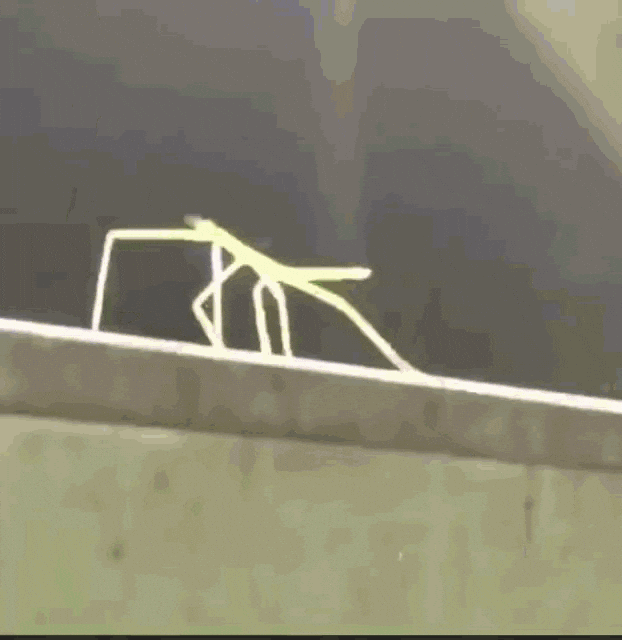 Stick Bug Hyper Meme GIF