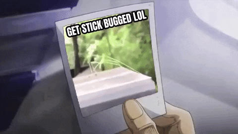 Stick Bug Looking At The Mirror GIF