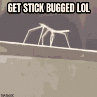 Stick Saying Get Stick Bugged Lol