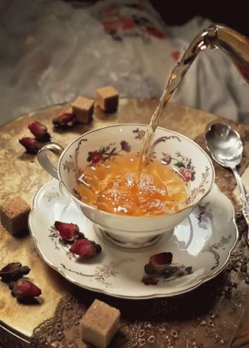 Stimboard Tea Pouring Boston Tea Party GIF