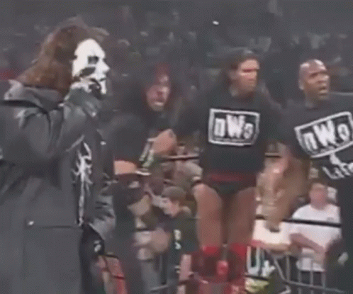 Sting Mascot Fight GIF