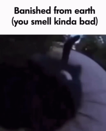 Stinky Cat Banished From Earth Meme GIF