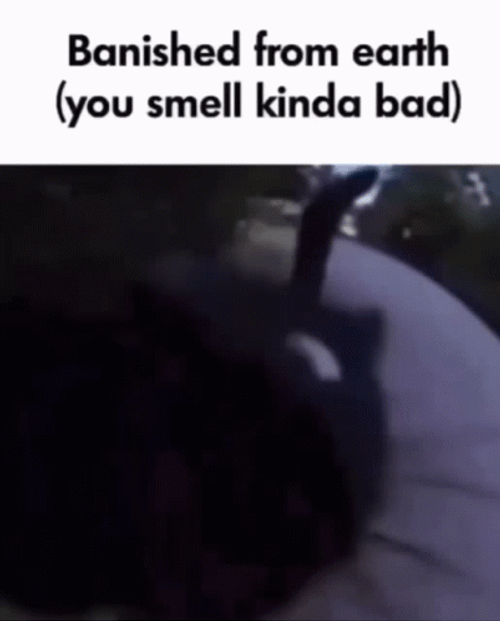 Stinky Cat Banished From Earth Meme GIF