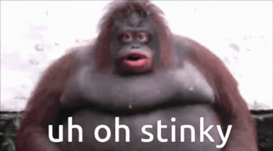 Stinky Guilty Orangutan Passive Reaction GIF