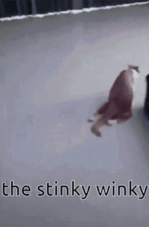 Stinky Winky Crawling Ginger Cat GIF
