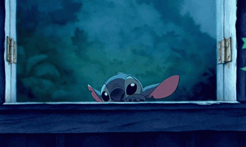 Stitch Close Up Funny Face