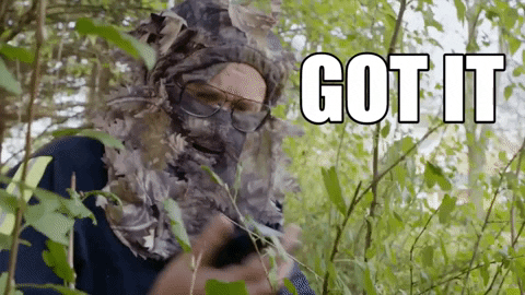 Stittsville Noted GIF