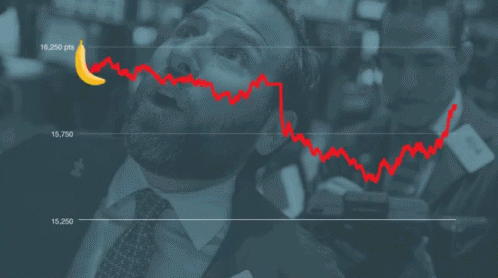 Stock Market Crash Banana Riding Wave Meme GIF