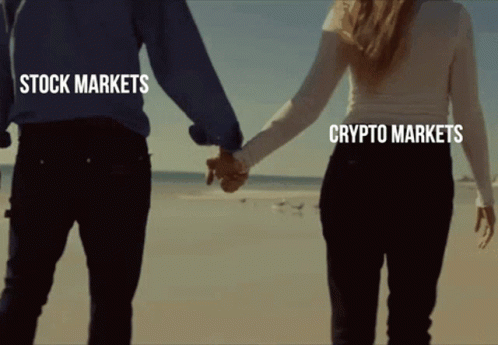 Stock Market Crash Crypto Couple Meme GIF