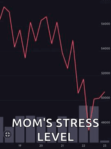 Stock Market Graph Mom's Stress Level