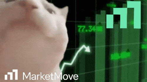 Stock Market Move Up Funny Cat GIF