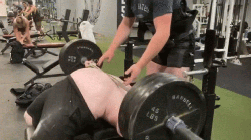 Stomach Bench Press GIF