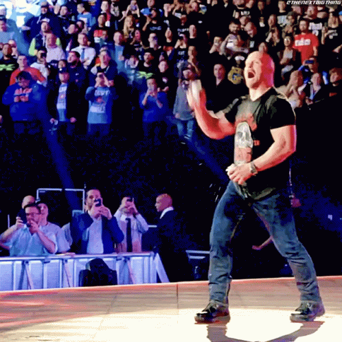 Stone Cold Beer Encouraging Crowd GIF