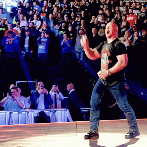 Stone Cold Beer Encouraging Crowd GIF