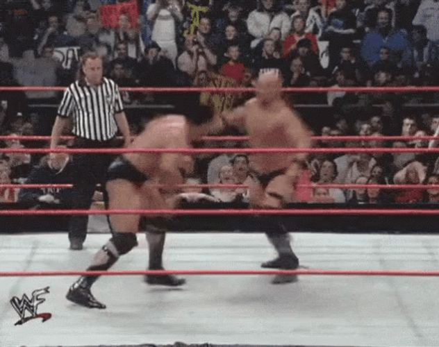 Stone Cold Jumping Stunner The Rock GIF