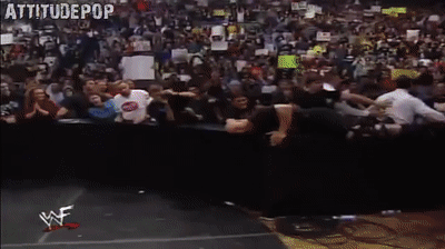 Stone Cold Meddling Wrestling Fight GIF
