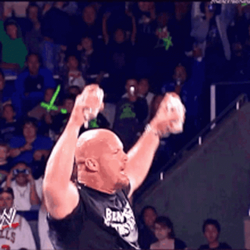 Stone Cold Steve Austin Beer Drinking GIF