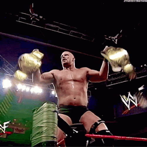 Stone Cold Steve Austin Champion GIF