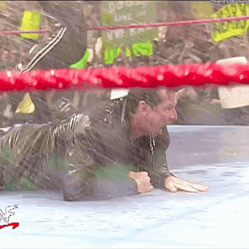 Stone Cold Steve Austin Hosing Beer GIF