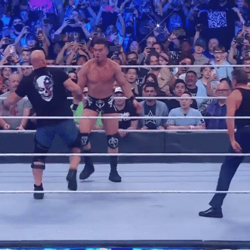 Stone Cold Steve Austin Stunner GIF