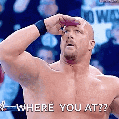 Stone Cold Steve Austin Where You At GIF