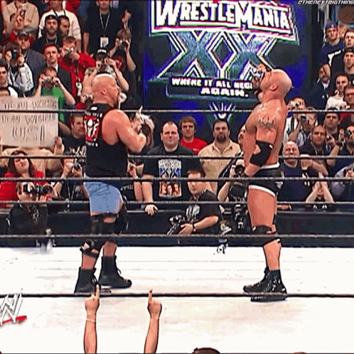 Stone Cold Stunner 498 X 498 Gif GIF
