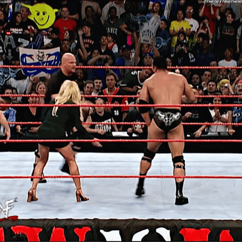 Stone Cold Stunner 498 X 498 Gif GIF