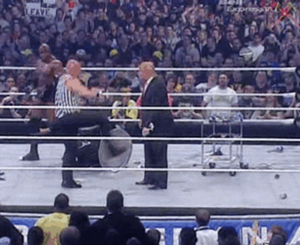 Stone Cold Stunner Donald Trump Fights GIF