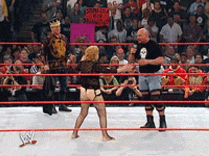 Stone Cold Stunner Linda McMahon GIF