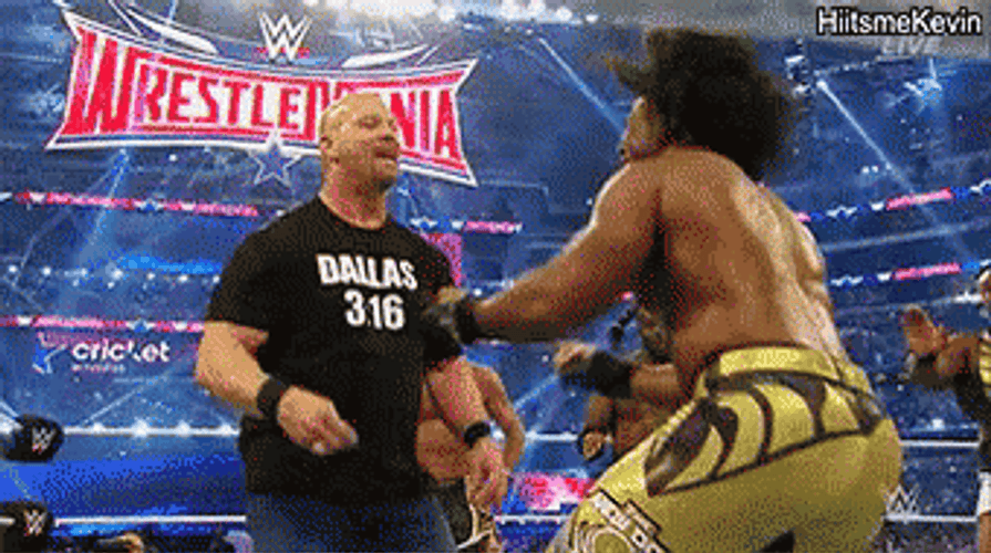 Stone Cold Stunner Steve Austin Match Wrestlemania GIF