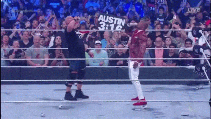 Stone Cold Stunner Steve Austin Sneak Attack GIF