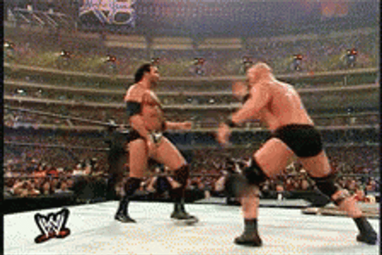 Stone Cold Stunner WWE World Wrestling GIF