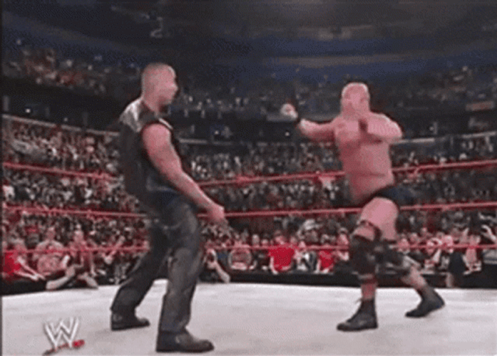 Stone Cold Versus The Rock Stunner Move GIF