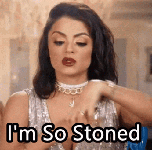 Stoned Golnesa Gharachedaghi Tv Personality GIF