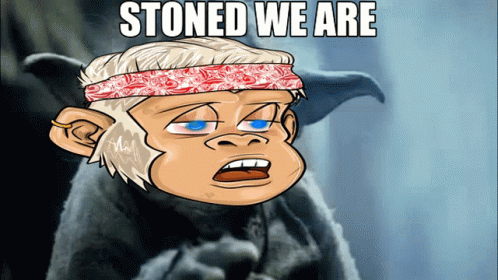 Stoned We Are Funny Yoda Meme GIF