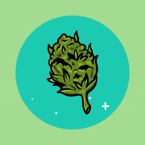 Stoner Weed Animation GIF