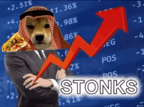 Stonks Dog Wearing Turban GIF