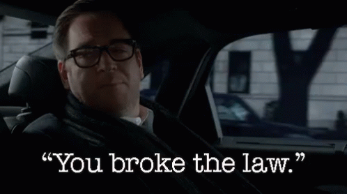 Stop Breaking The Law Michael Weatherly GIF