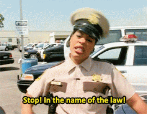 Stop Breaking The Law Niecy Nash Reno 911 GIF
