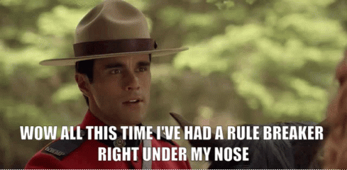 Stop Breaking The Law Ryan James Hatanaka GIF