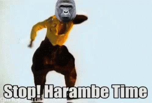Stop Harambe Time Gorilla Dancing GIF